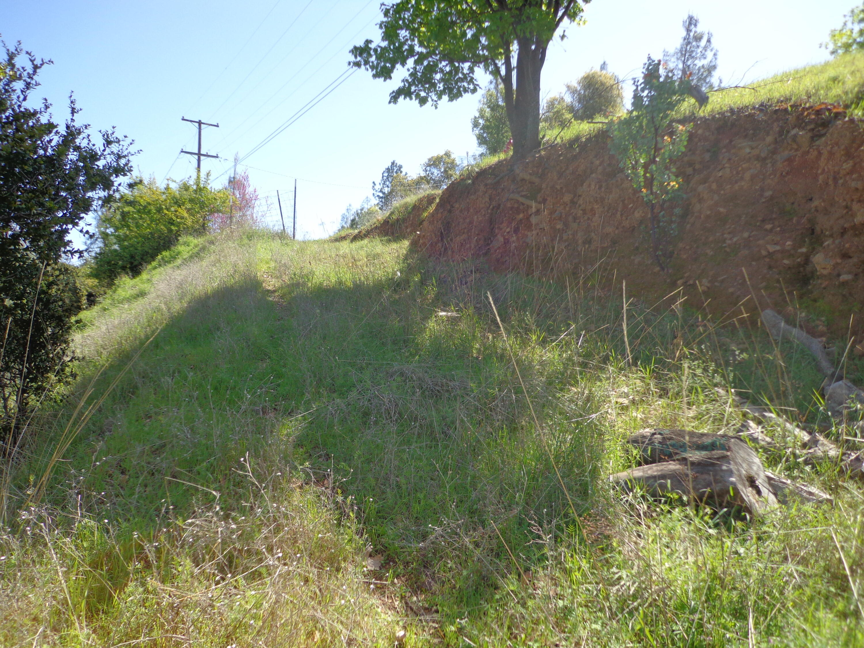 22076 Loop Drive Redding, CA 96003 - Photo 15 of 17 a view of a garden