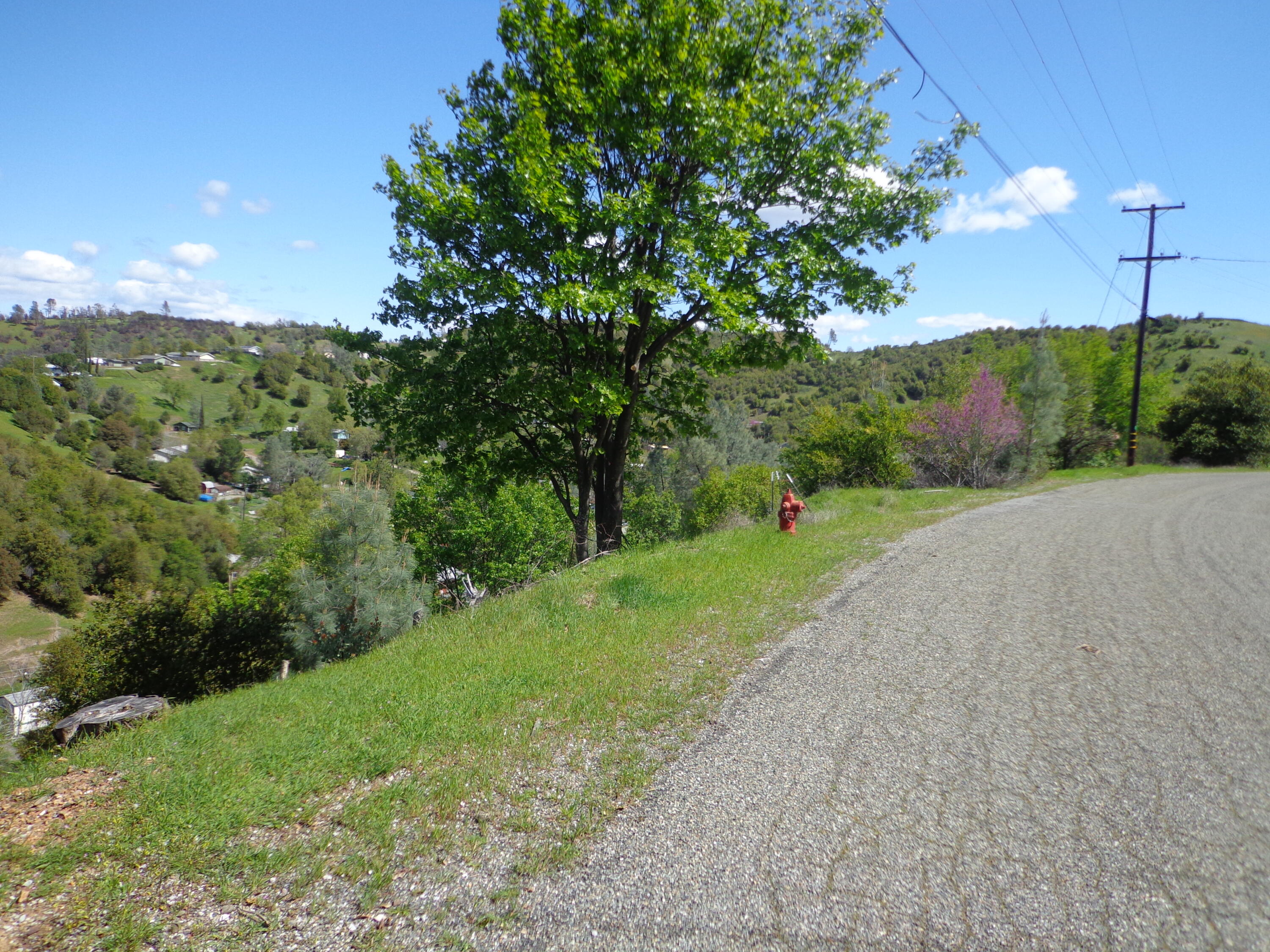 22076 Loop Drive Redding, CA 96003 - Photo 3 of 17 a view of a road with a yard
