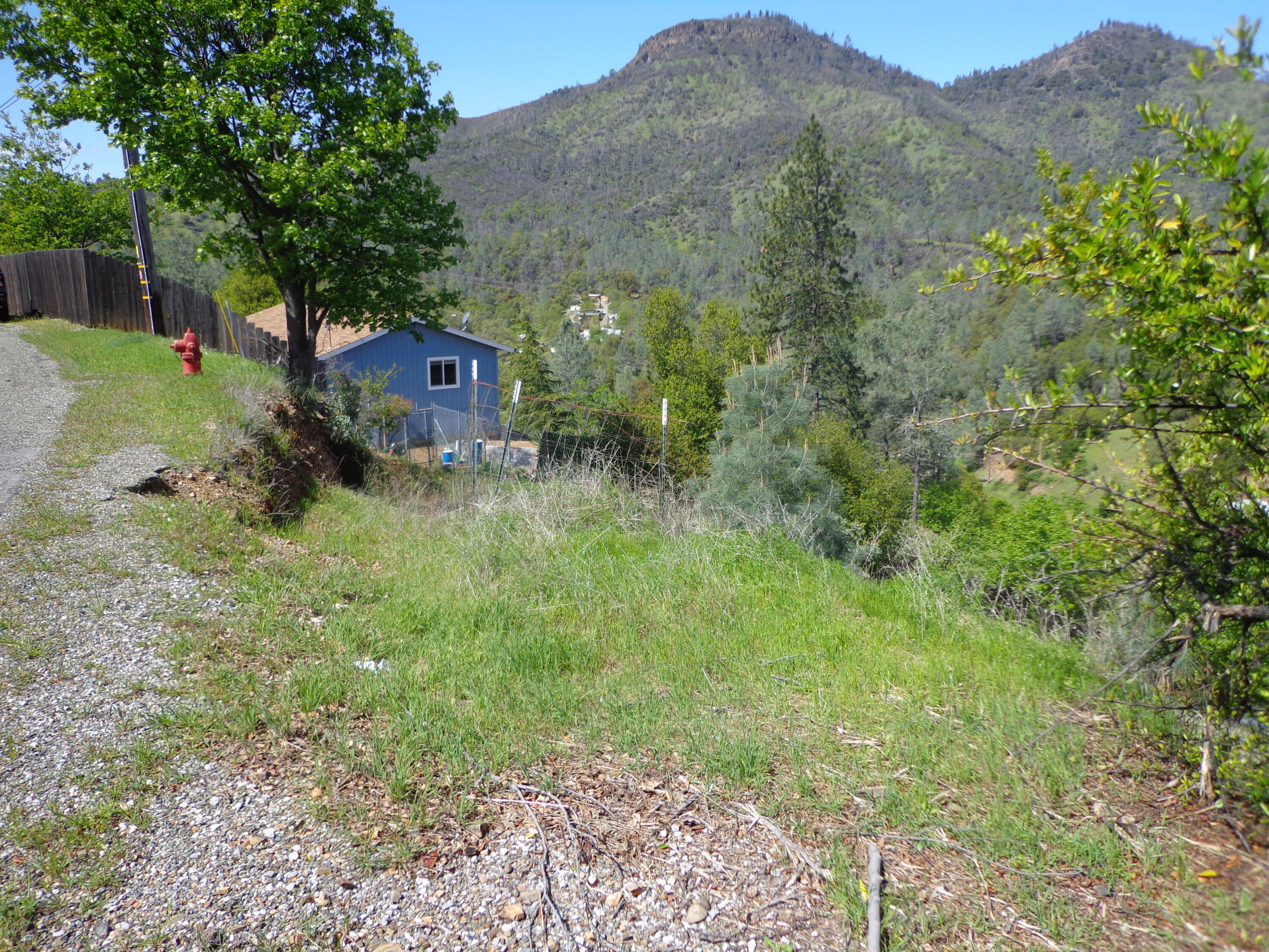 22076 Loop Drive Redding, CA 96003 - Photo 4 of 17 a view of a back yard