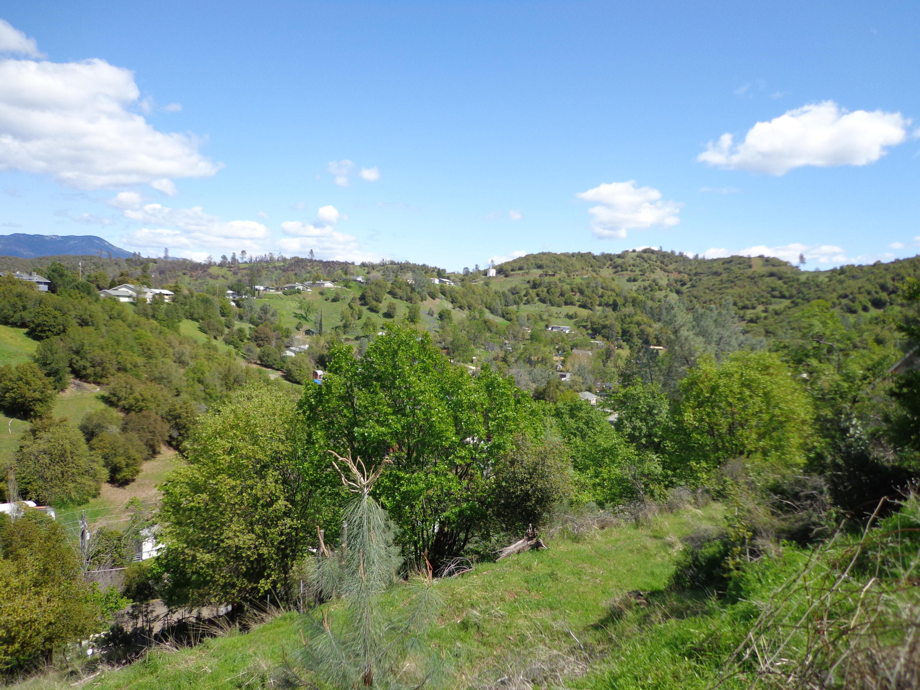 22076 Loop Drive Redding, CA 96003 - Photo 6 of 17 a view of a city with lush green forest