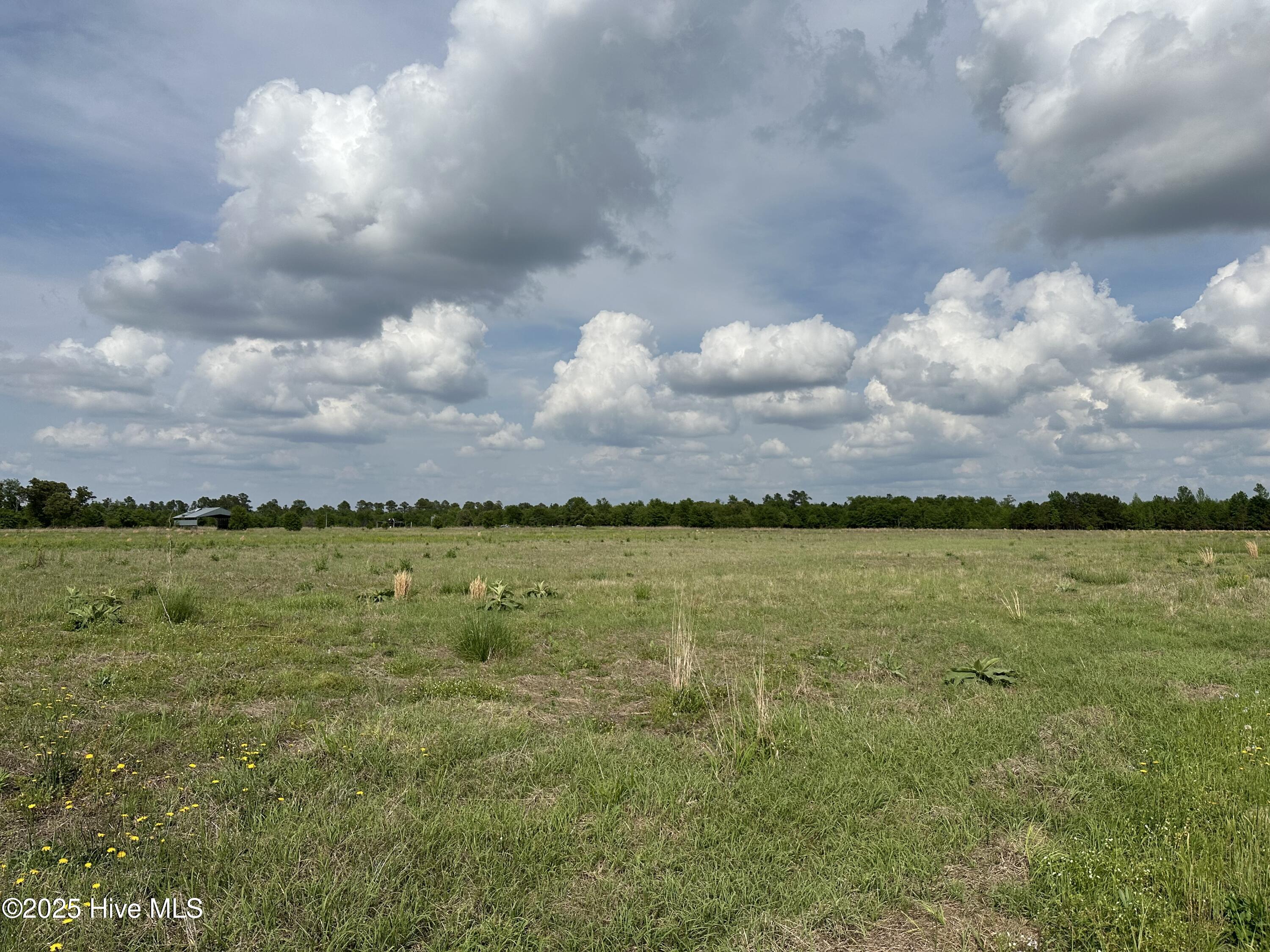 Lot 2 Mcgirt Road Maxton, NC 28364 - Photo 2 of 5 IMG_0774