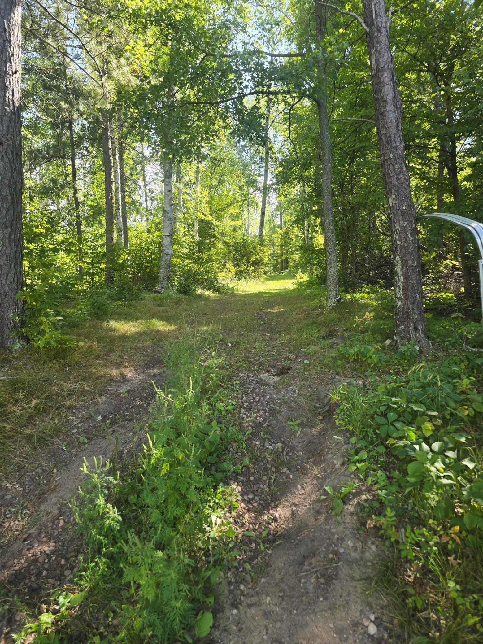 38509 Pickerel Trail Crosby, MN 56441 - Photo 48 of 61