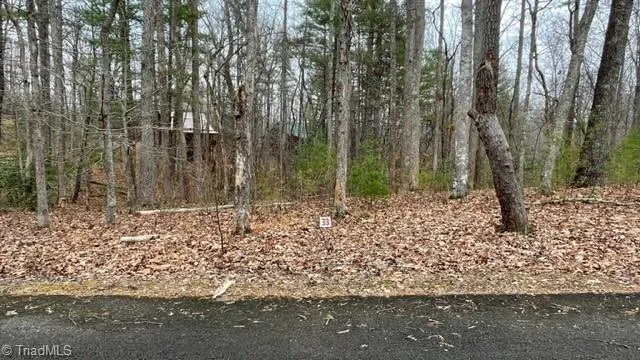 $19,999 | Lot 33 Reserve Trail, Stuart, VA 24171