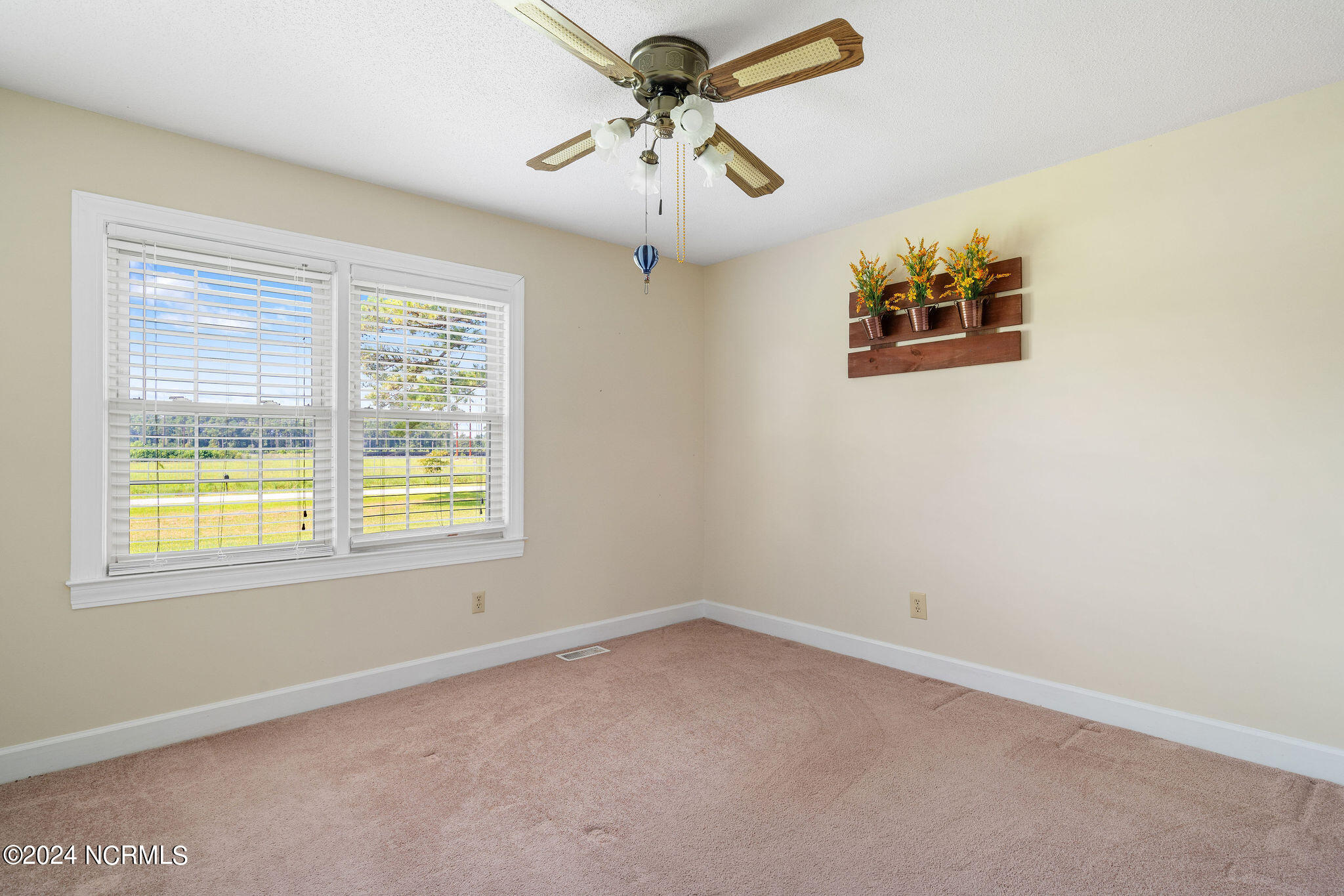 3270 Watha Road Willard, NC 28478 - Photo 16 of 24 3270willard-18