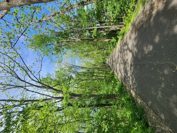 $139,900 | 903 North Linden Street, Unit 207, Normal, IL 61761