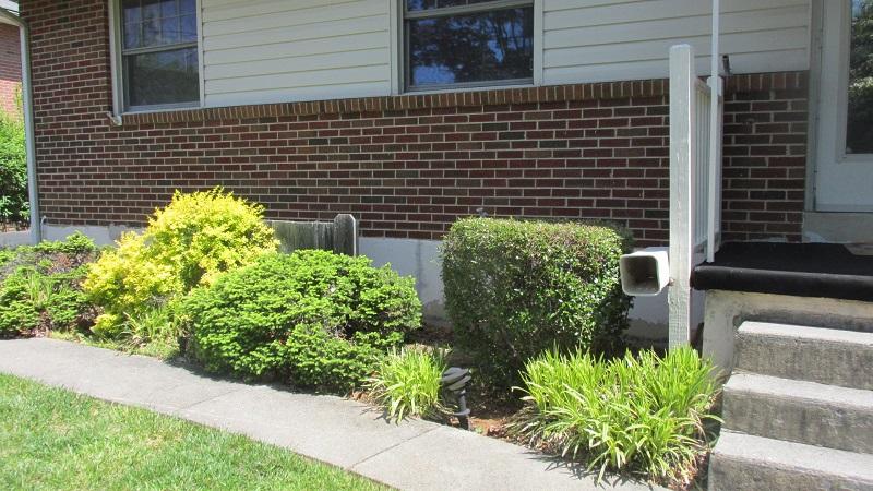 1016 Estates Road Southeast Roanoke, VA 24014 - Photo 3 of 56 Landscaping done!