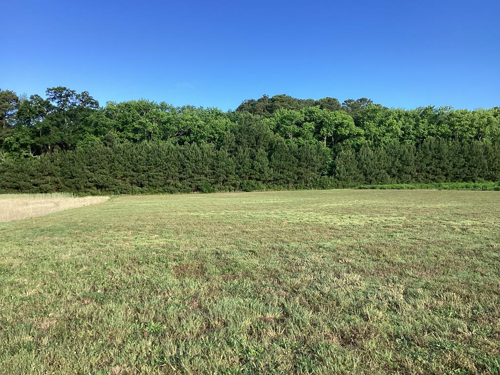 Lot 4 Seaside Road, Unit 4 Cape Charles, VA 23310 - Photo 19 of 31