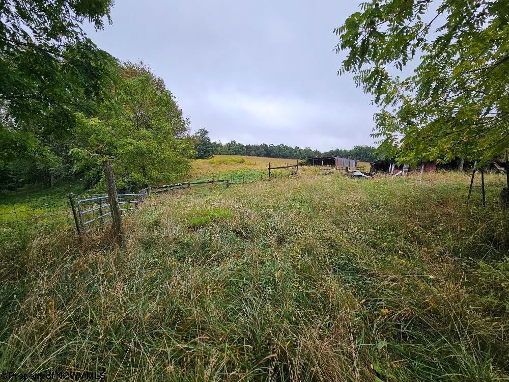 5196 Eden Road Rock Cave, WV 26234 - Photo 21 of 43 Gallery Image 21