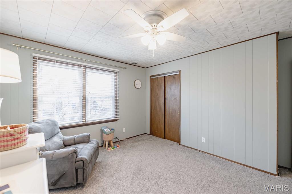 7328 Ravinia Drive Pasadena Hills, MO 63121 - Photo 47 of 63