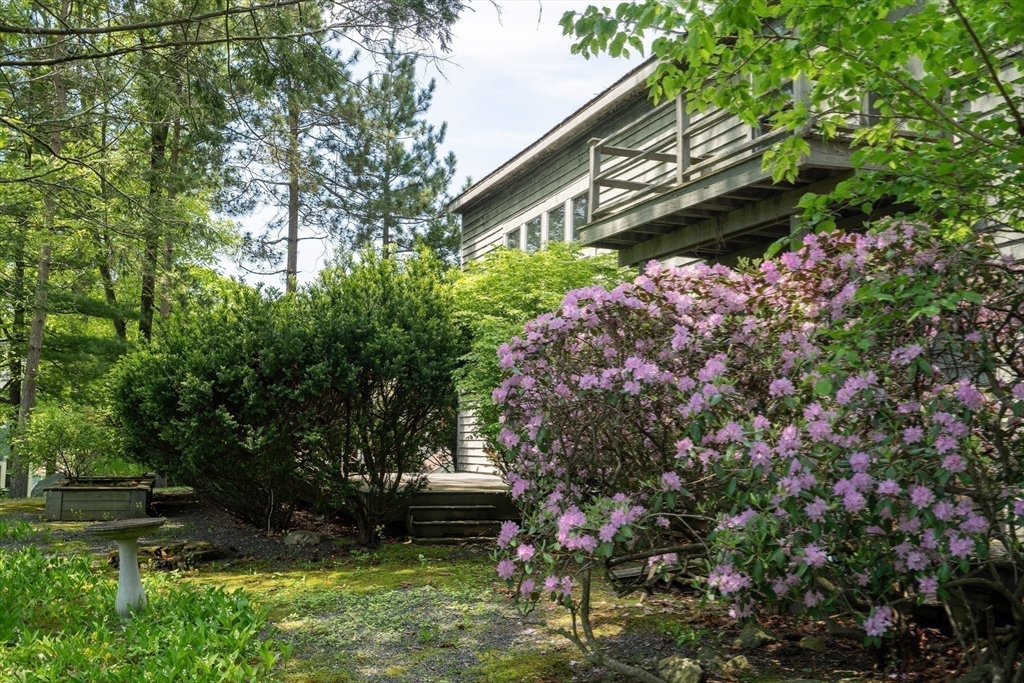 70 Birch Hill Road Belmont, MA 02478 - Photo 21 of 25