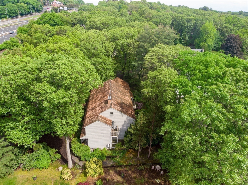 70 Birch Hill Road Belmont, MA 02478 - Photo 24 of 25