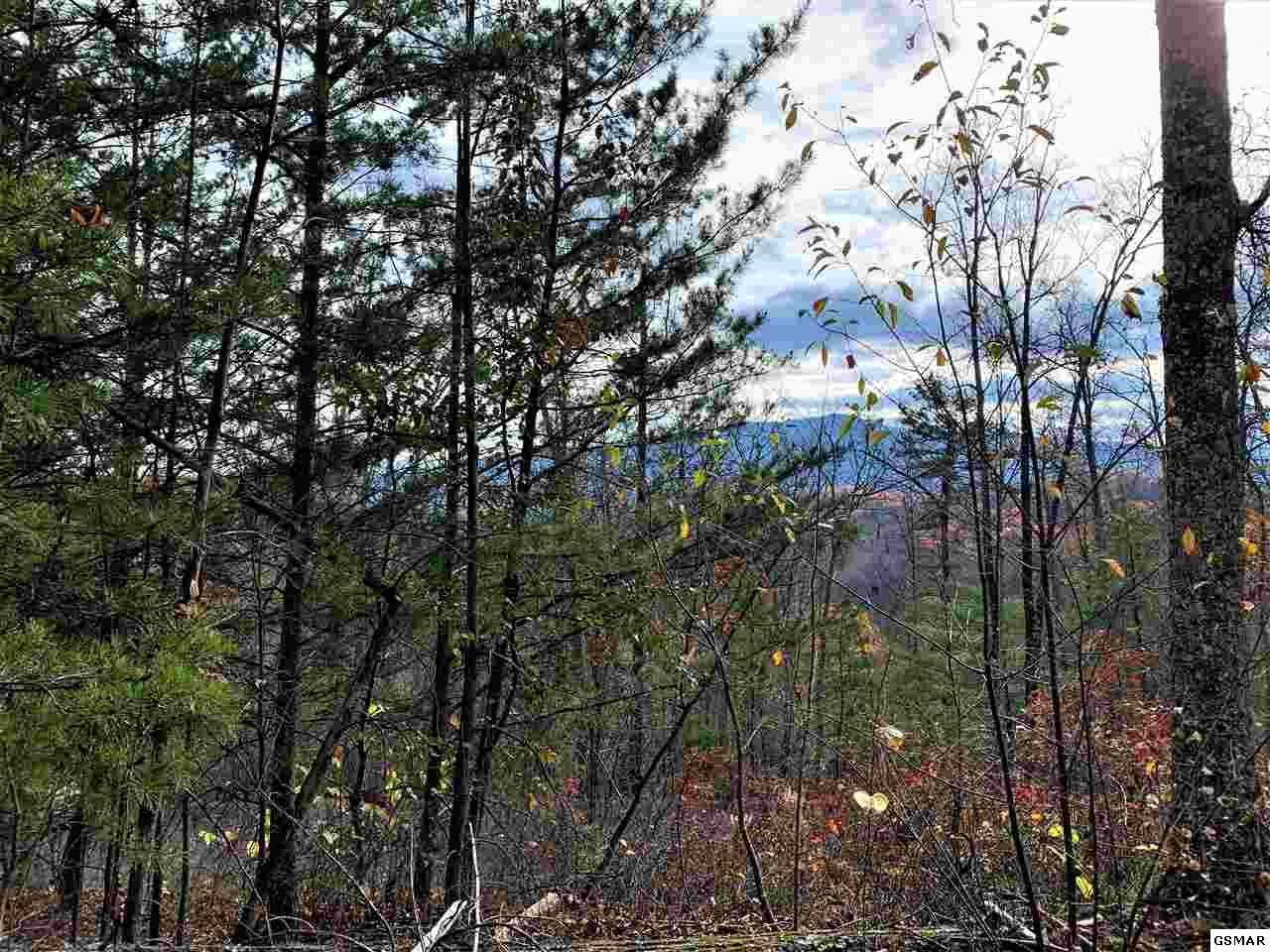 7 Stackstone Road Sevierville, TN 37862 - Photo 3 of 10