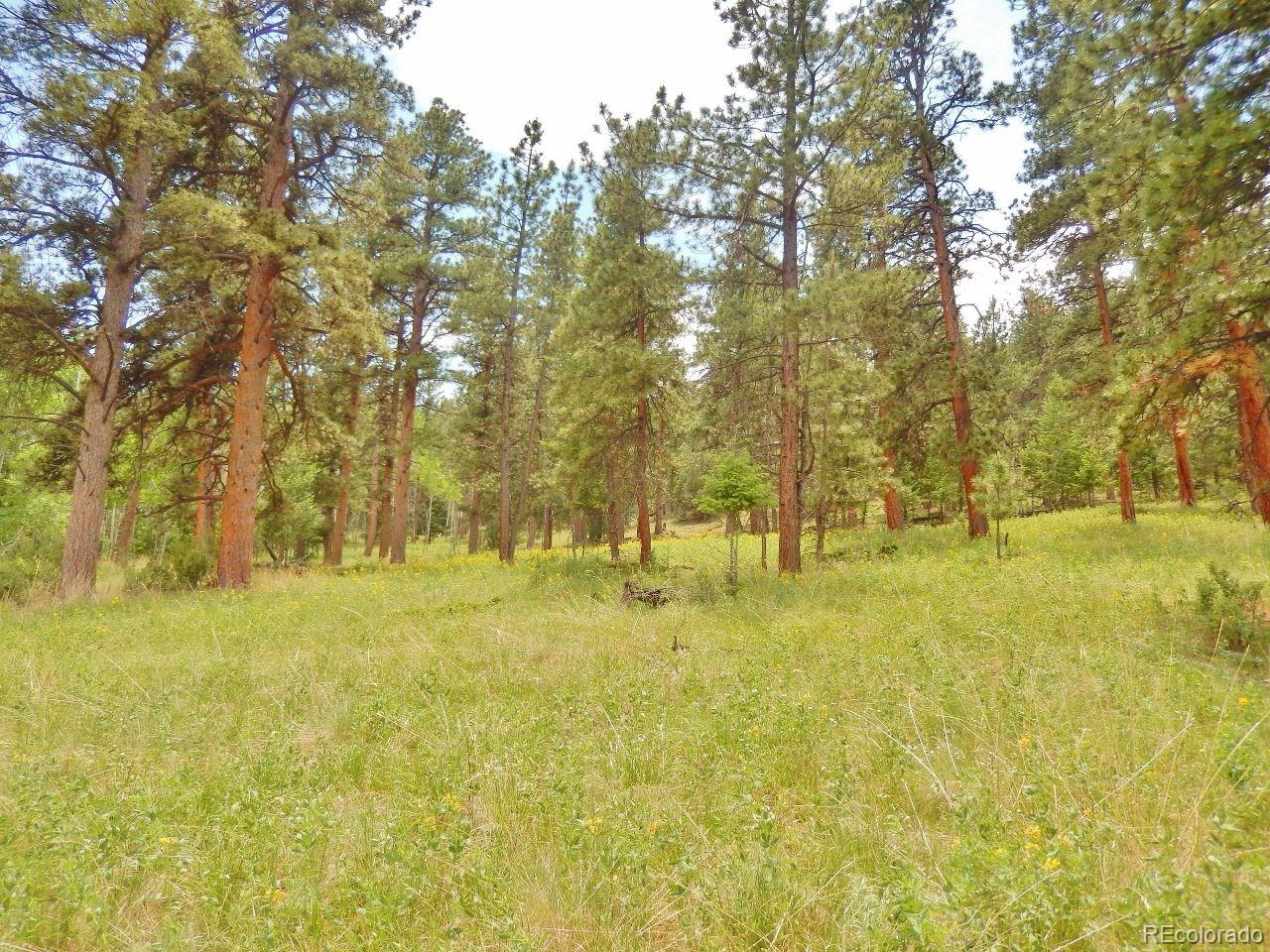 Overlook Drive Bailey, CO 80421 - Photo 12 of 30 Gallery Image 12