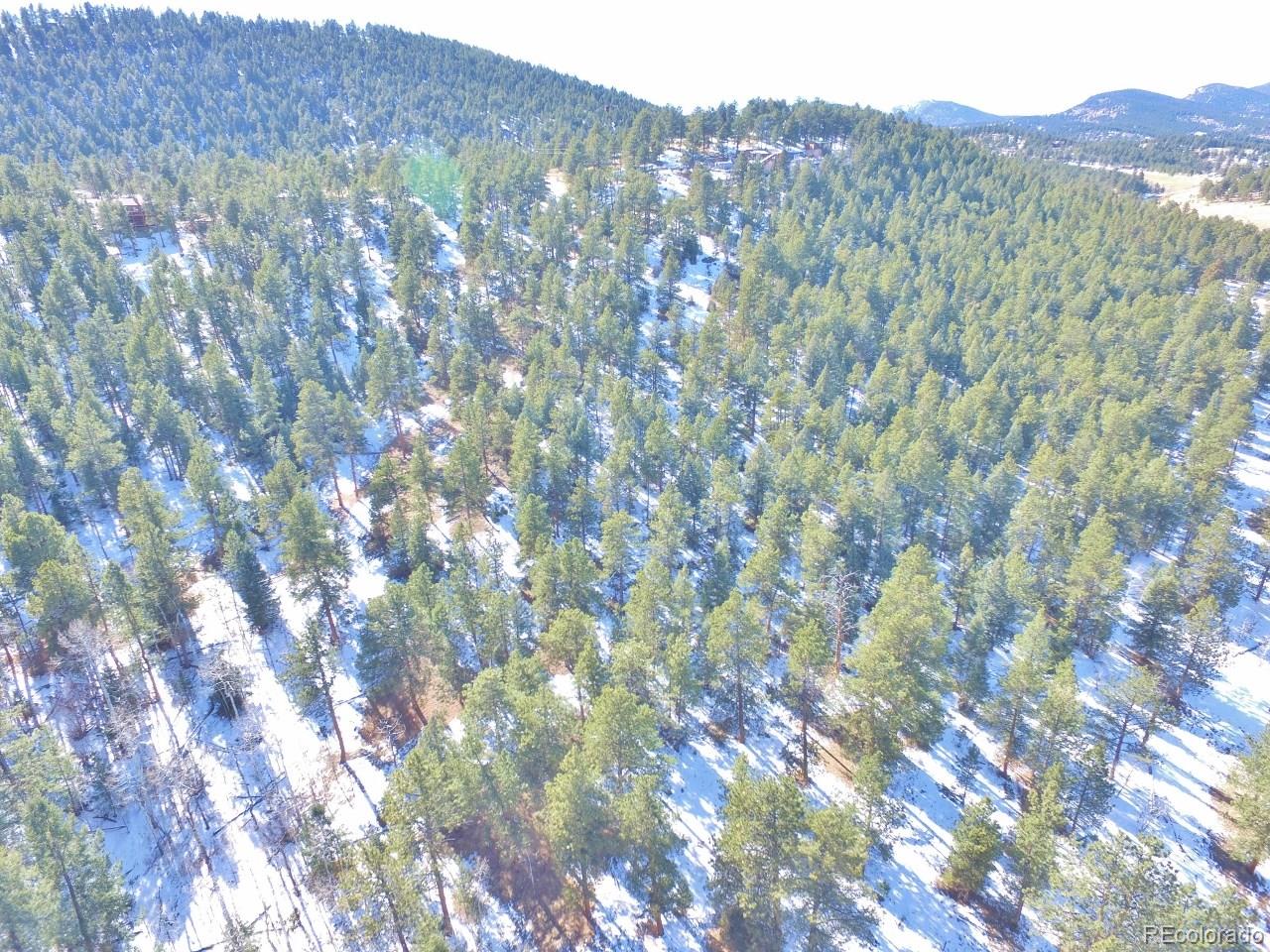 Overlook Drive Bailey, CO 80421 - Photo 18 of 30 Gallery Image 18