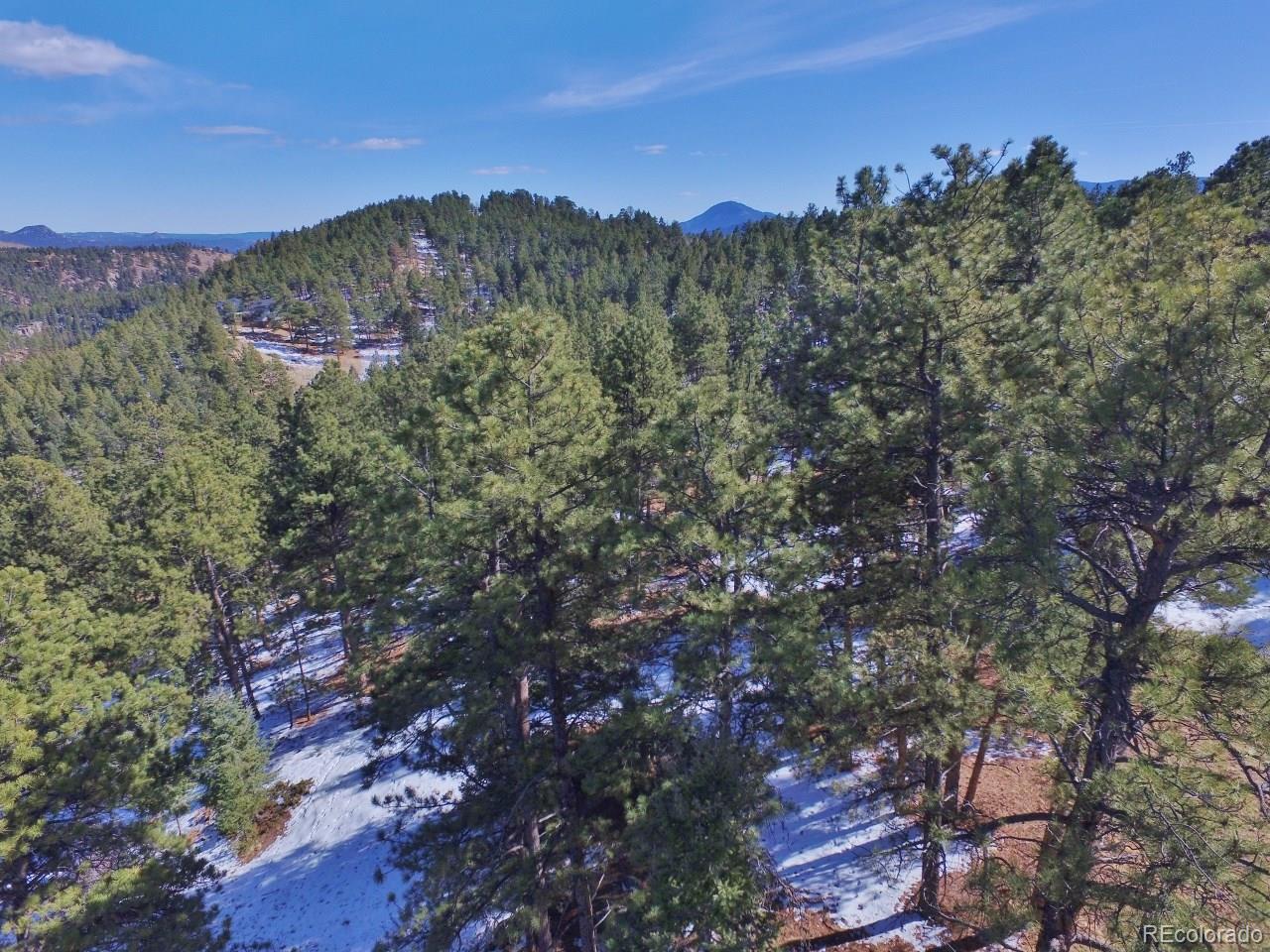 Overlook Drive Bailey, CO 80421 - Photo 2 of 30 Gallery Image 2