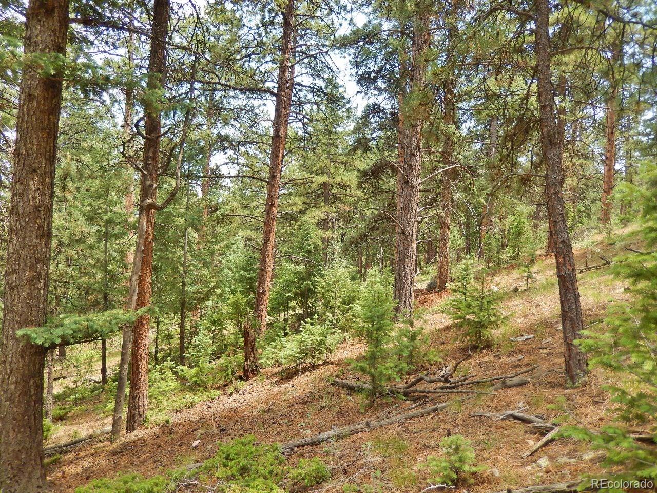 Overlook Drive Bailey, CO 80421 - Photo 22 of 30 Gallery Image 22