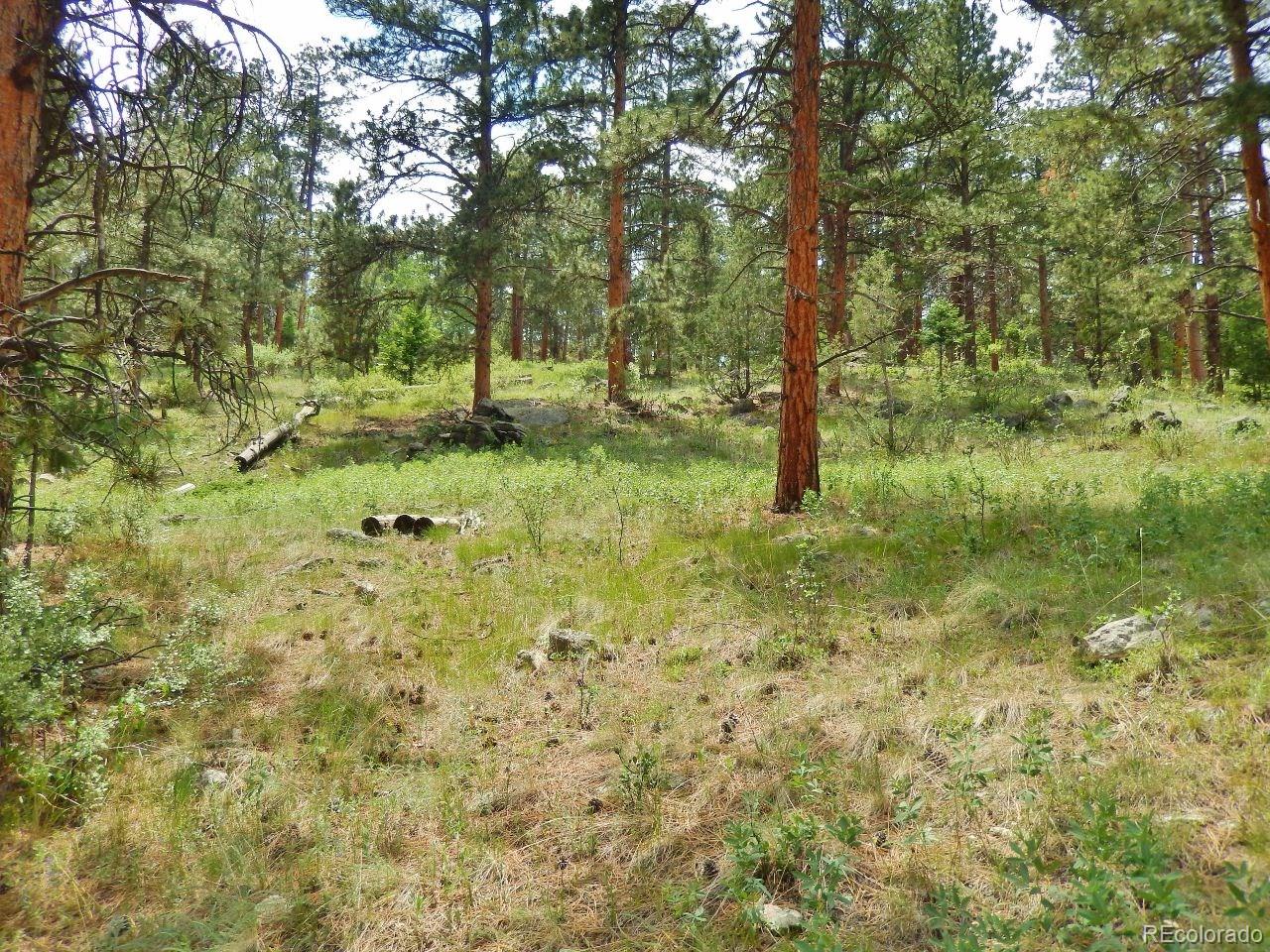 Overlook Drive Bailey, CO 80421 - Photo 23 of 30 Gallery Image 23