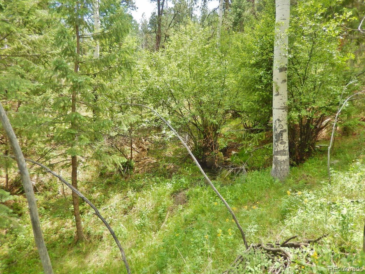 Overlook Drive Bailey, CO 80421 - Photo 25 of 30 Gallery Image 25