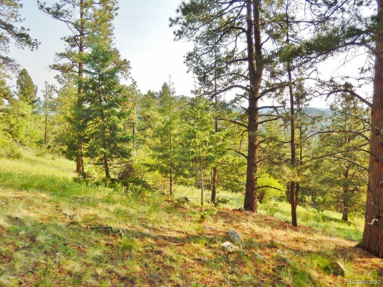 Overlook Drive Bailey, CO 80421 - Photo 27 of 30 Gallery Image 27