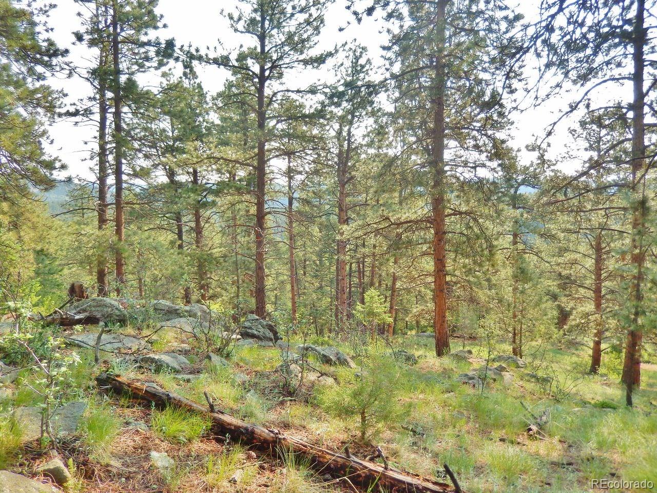 Overlook Drive Bailey, CO 80421 - Photo 29 of 30 Gallery Image 29