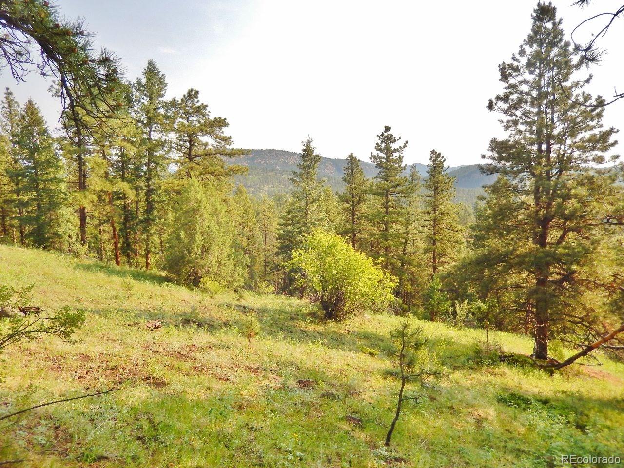Overlook Drive Bailey, CO 80421 - Photo 5 of 30 Gallery Image 5