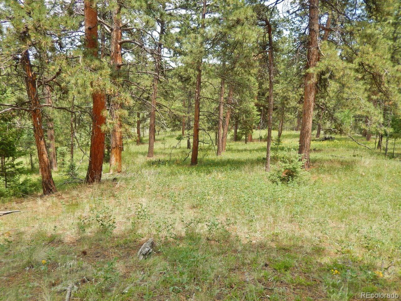 Overlook Drive Bailey, CO 80421 - Photo 8 of 30 Gallery Image 8