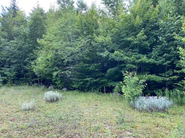 $12,000 | Wa2 Wa2 Partridge Knoll, Meddybemps, ME 04657