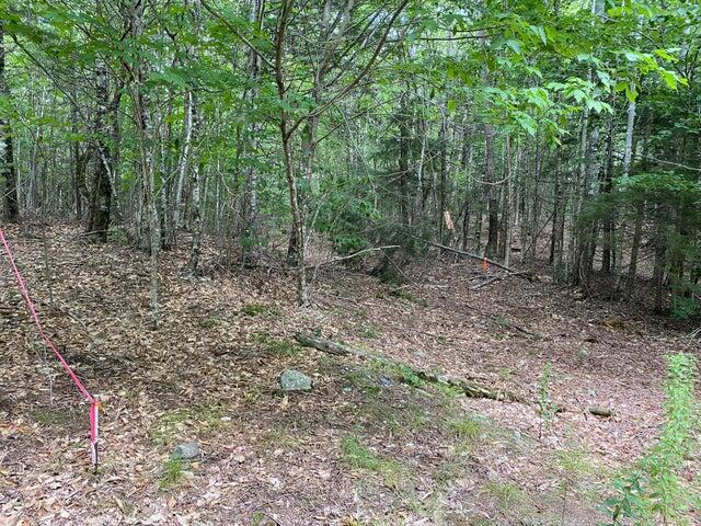 Wa2 Wa2 Partridge Knoll Meddybemps, ME 04657 - Photo 3 of 4 3