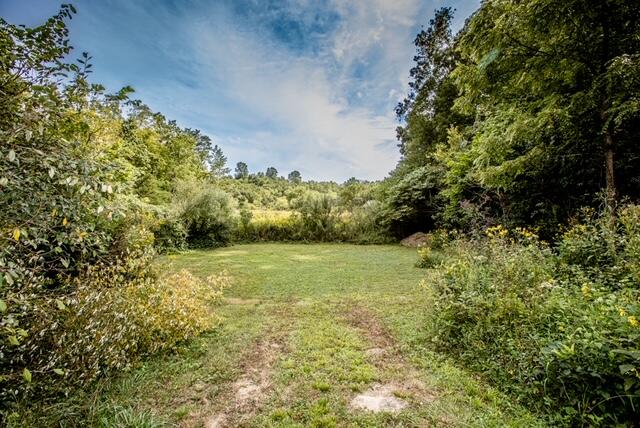 2060 Cedar Road Stamping Ground, KY 40379 - Photo 7 of 37 Secluded Area Of Yard