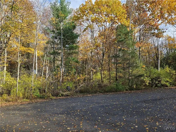 $55,000 | Birch Lane, Clayton, NY 13624