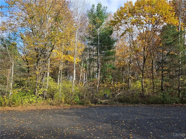 $55,000 | Birch Lane, Clayton, NY 13624