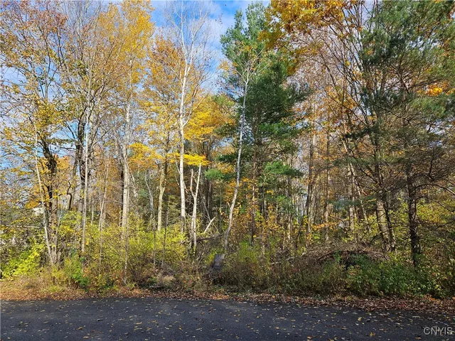 $55,000 | Birch Lane, Clayton, NY 13624