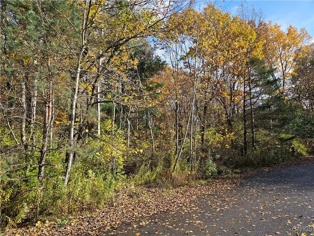 $55,000 | Birch Lane, Clayton, NY 13624