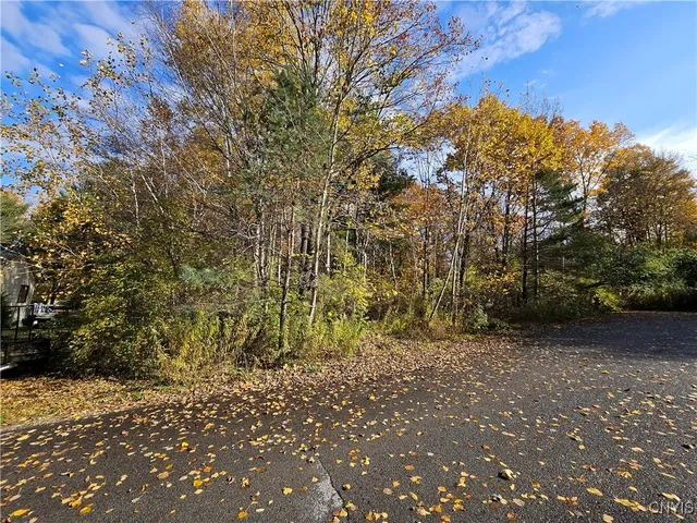 $55,000 | Birch Lane, Clayton, NY 13624