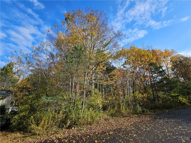 $55,000 | Birch Lane, Clayton, NY 13624