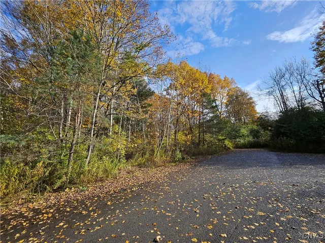 $55,000 | Birch Lane, Clayton, NY 13624