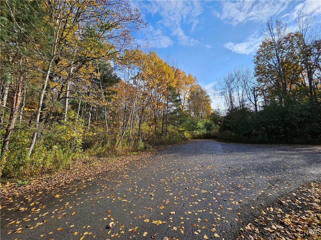 Birch Lane Clayton, NY 13624 - Photo 10 of 10