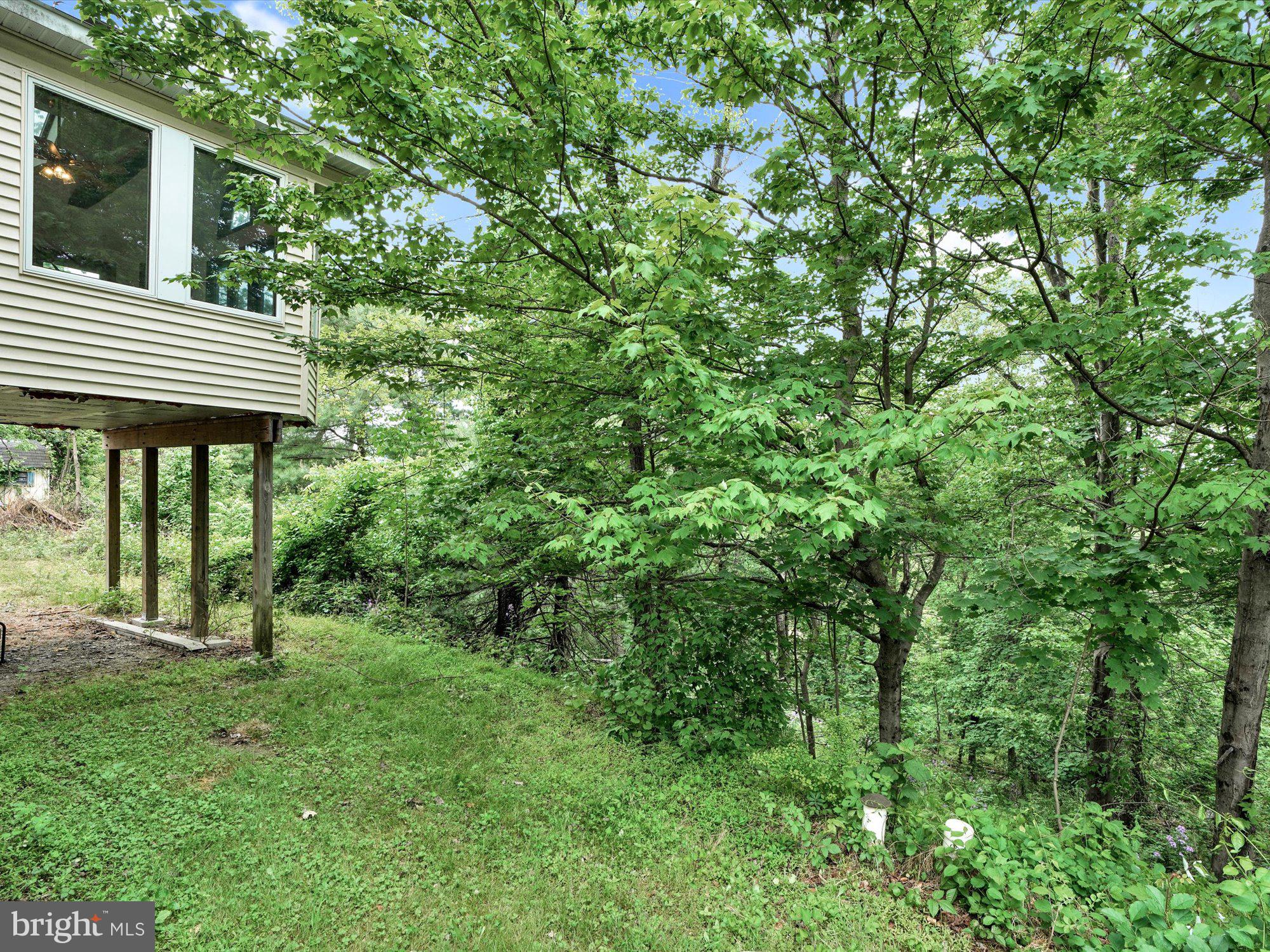 147 Frantz Road Pine Grove, PA 17963 - Photo 28 of 28 Partial Yard View