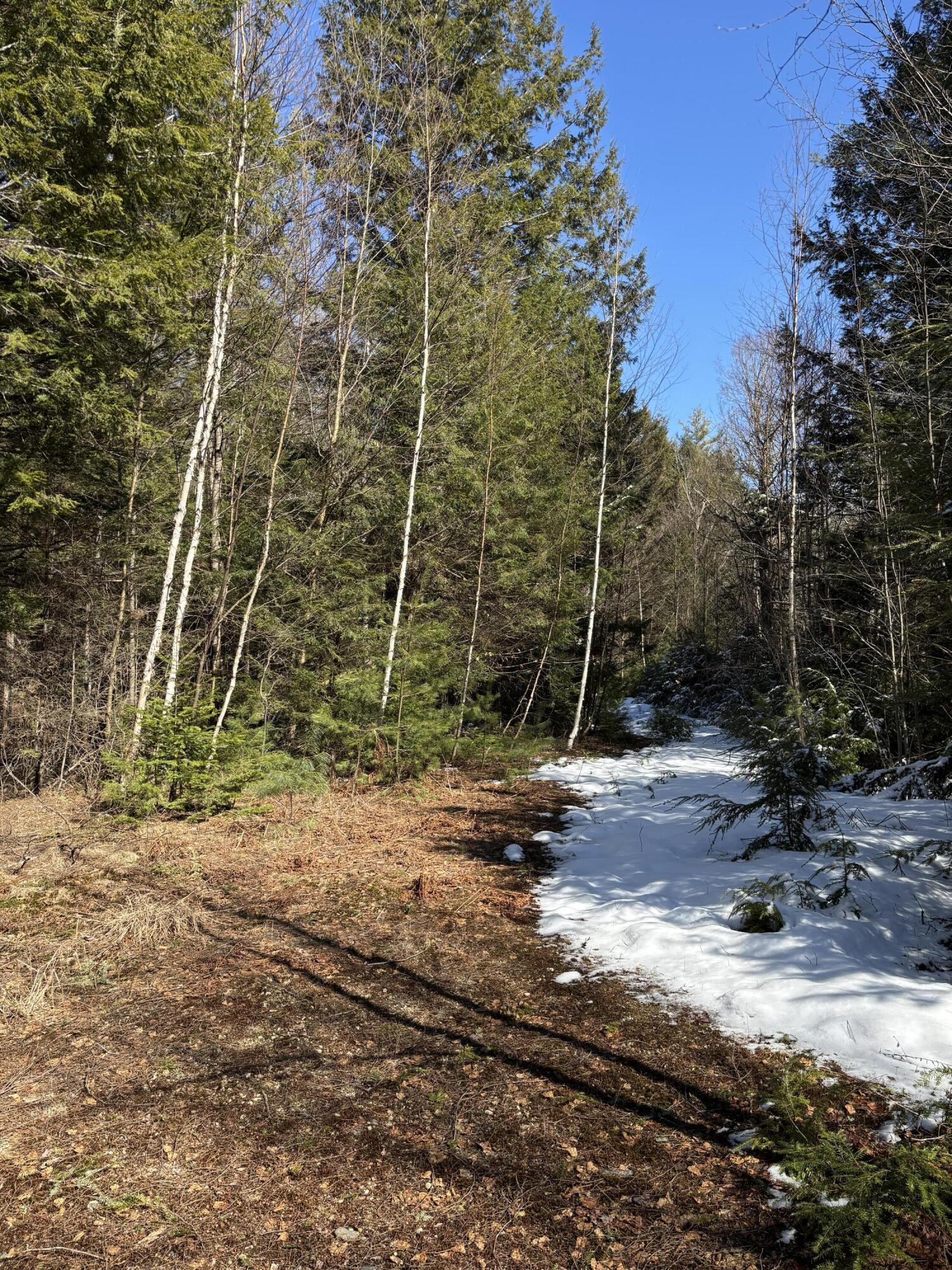 2 Bog Brook Loop West Paris, ME 04289 - Photo 2 of 3 IMG_6132