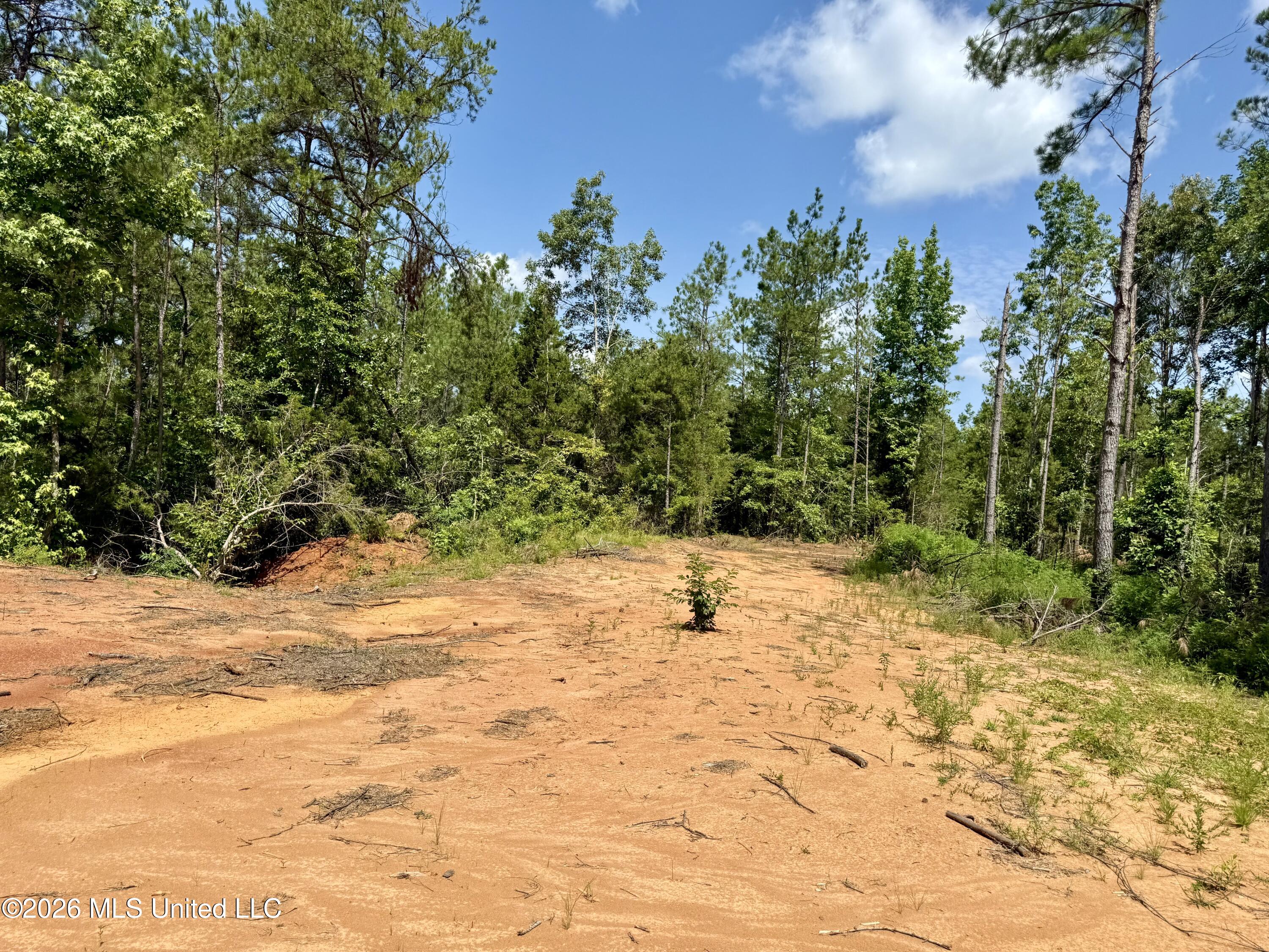828 Little Egypt Road Ashland, MS 38603 - Photo 83 of 101 Photo Jun 30 2026, 11 14 50 AM