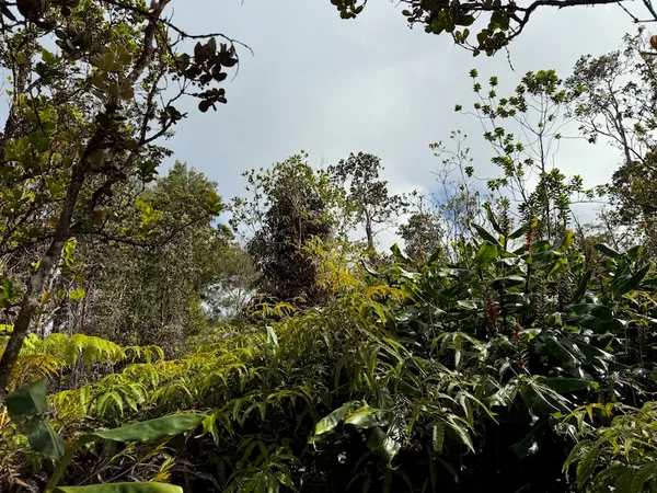 $52,500 | 2068 Anuhea Street, Volcano, HI 96785