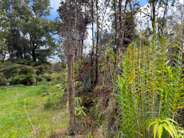 $52,500 | 2068 Anuhea Street, Volcano, HI 96785