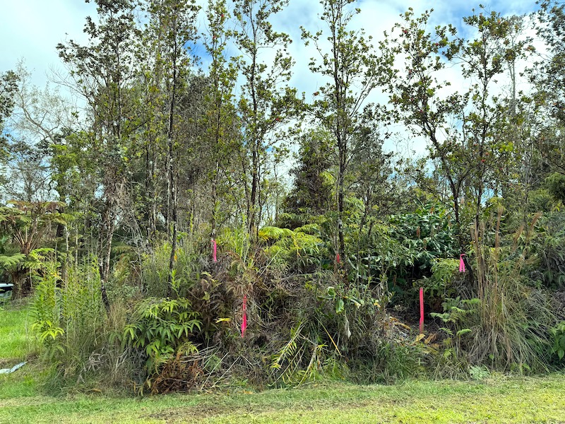 2068 Anuhea Street Volcano, HI 96785 - Photo 2 of 14