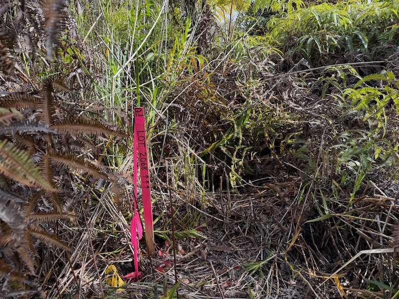 2068 Anuhea Street Volcano, HI 96785 - Photo 4 of 14