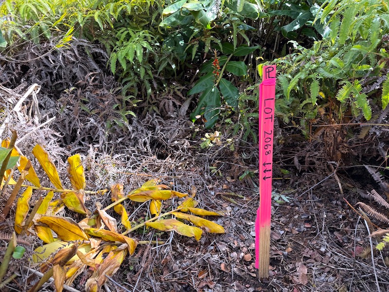 2068 Anuhea Street Volcano, HI 96785 - Photo 5 of 14