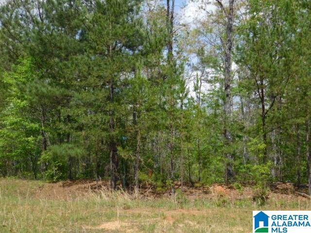 2 Pointe South Drive Wedowee, AL 36278 - Photo 1 of 6