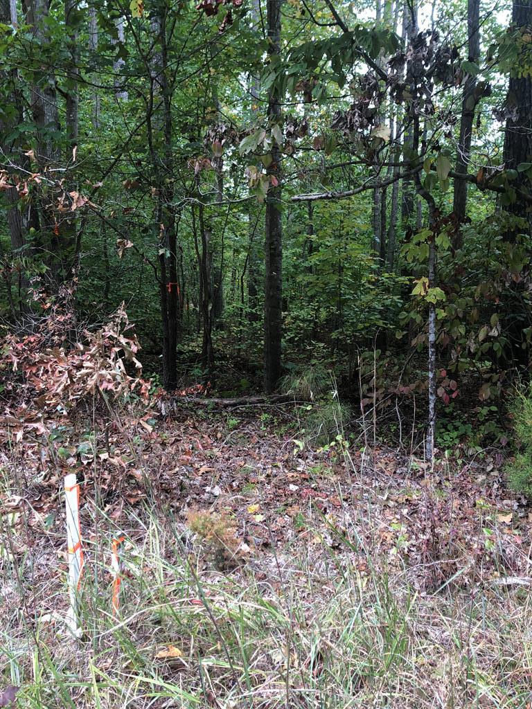 The Grove Road, Unit 1 Blackstone, VA 23824 - Photo 3 of 25 Gallery Image 3