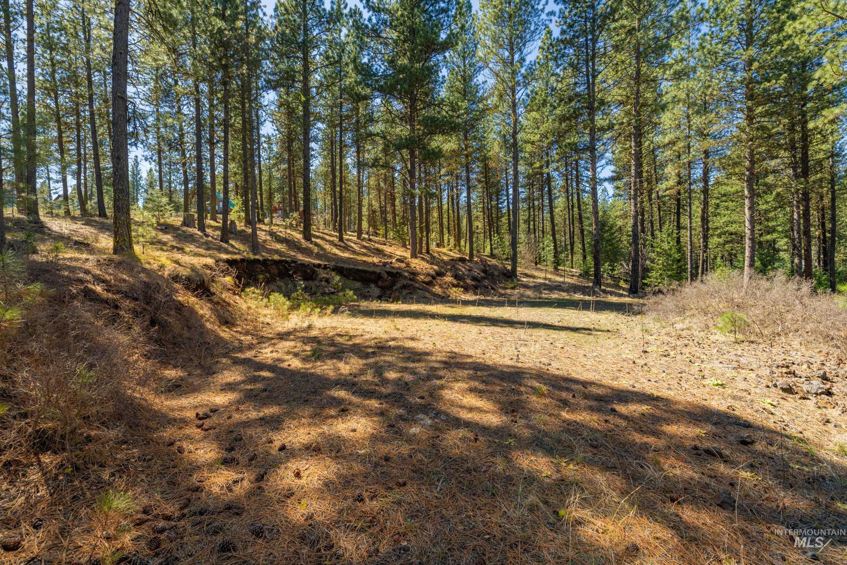 Lot 27 Hot Springs Road New Meadows, ID 83654 - Photo 8 of 23