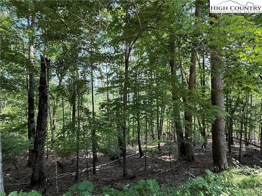 115 Hollow Tree Road Beech Mountain, NC 28604 - Photo 2 of 5 a view of outdoor space and green space