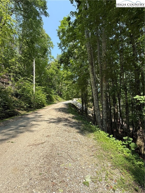 115 Hollow Tree Road Beech Mountain, NC 28604 - Photo 4 of 5 a view of a yard with plants and a trees